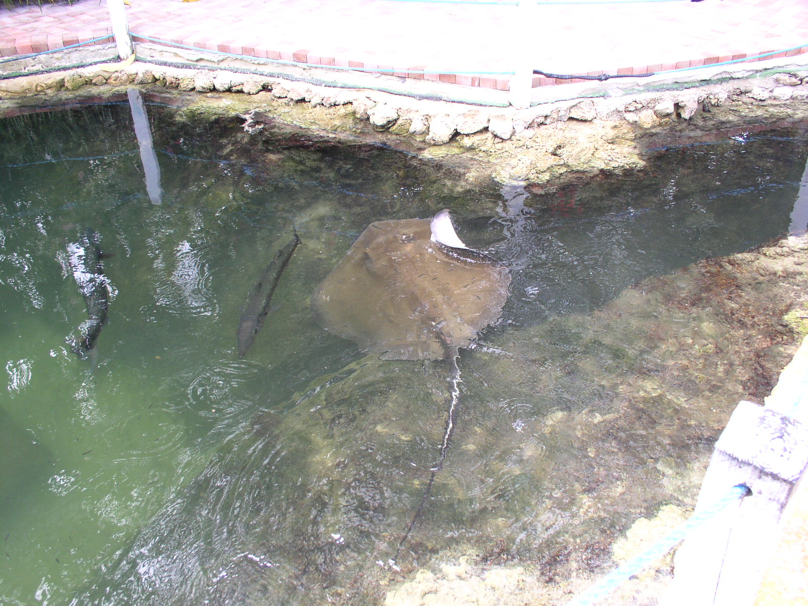 photo1